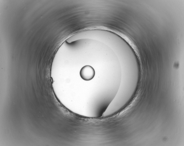 X0000093600905200711121145