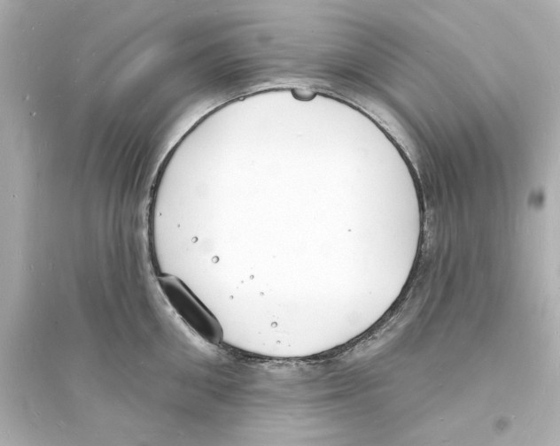 X0000093600906200711121145