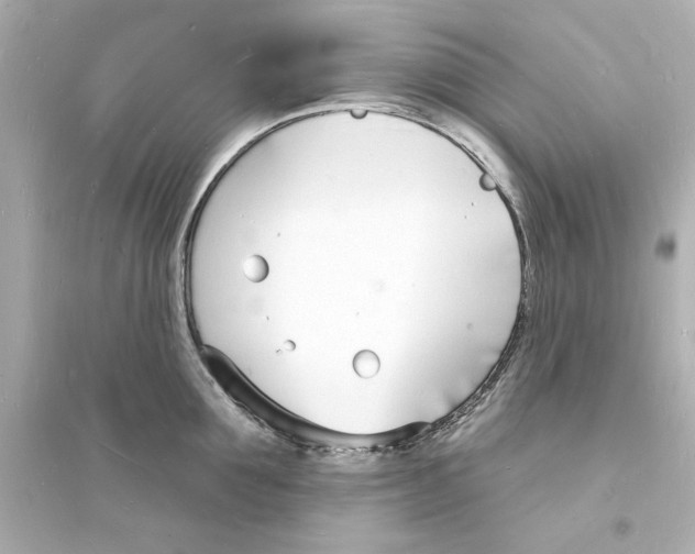 X0000093600907200711121145