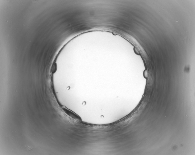 X0000093600908200711121145