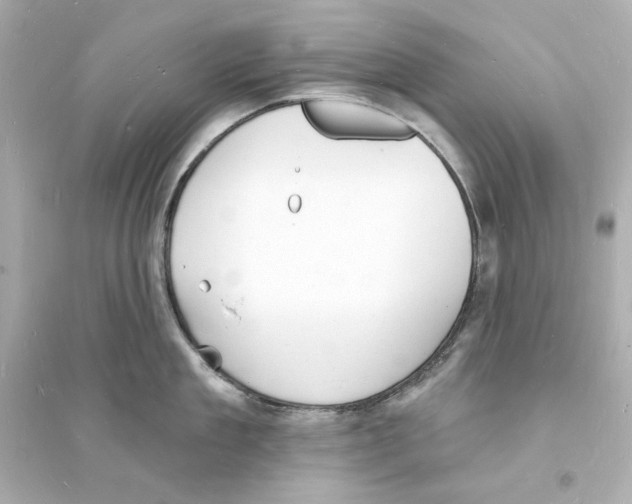 X0000093600909200711121145