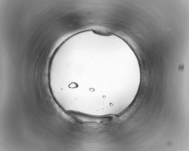 X0000093600910200711121145