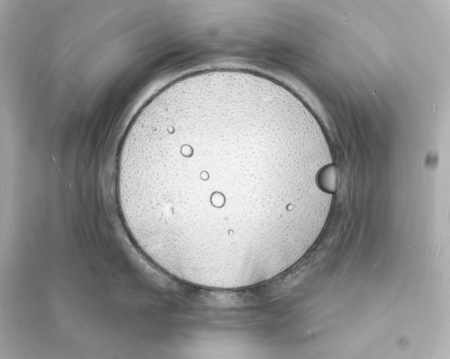 X0000093600911200711121145