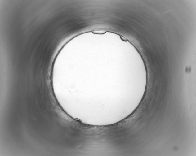 X0000093600912200711121145