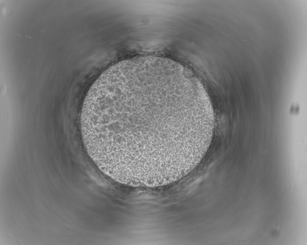 X0000093600913200711121145