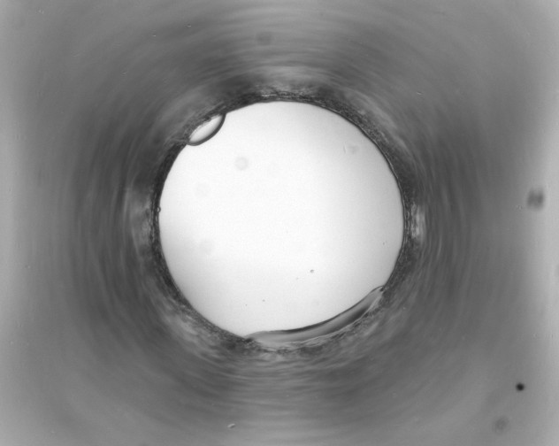 X0000093600915200711121145