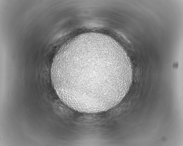 X0000093600917200711121145