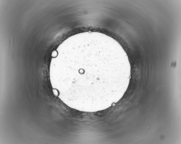 X0000093600918200711121145