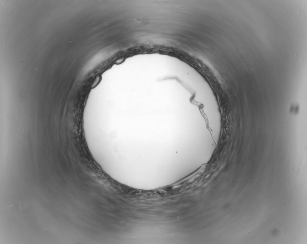 X0000093600919200711121145