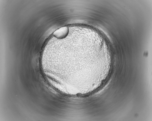 X0000093600921200711121145