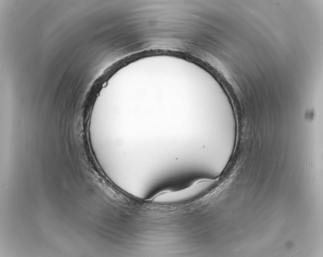 X0000093600923200711121145