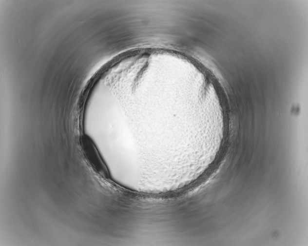 X0000093600925200711121145