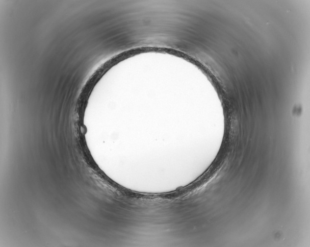 X0000093600926200711121145