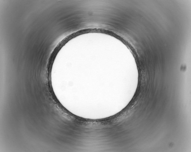 X0000093600927200711121145