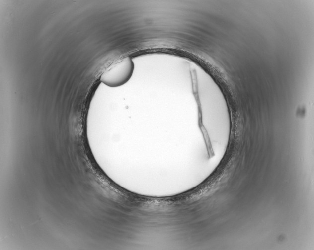 X0000093600929200711121145