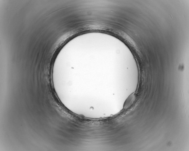 X0000093600930200711121145