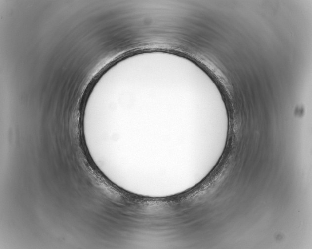 X0000093600933200711121145