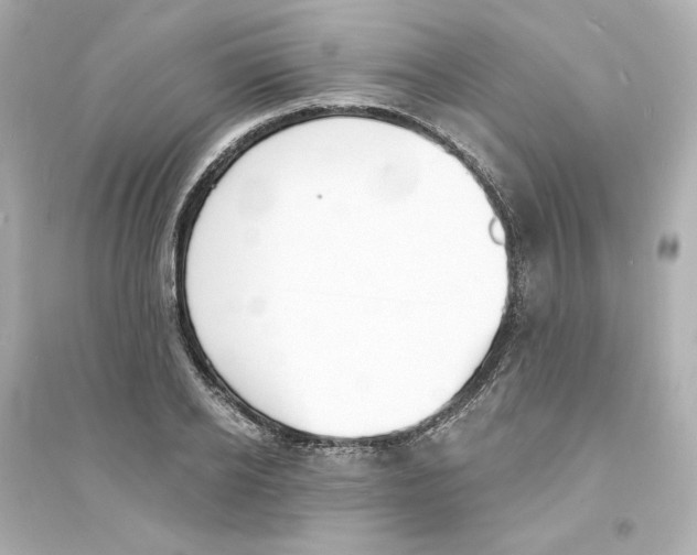 X0000093600934200711121145