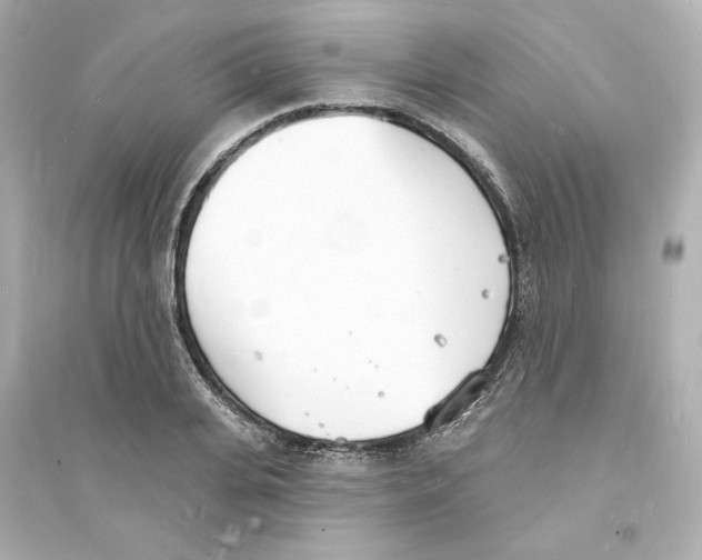 X0000093600935200711121145