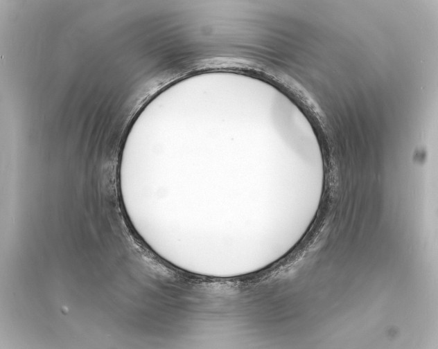 X0000093600937200711121145