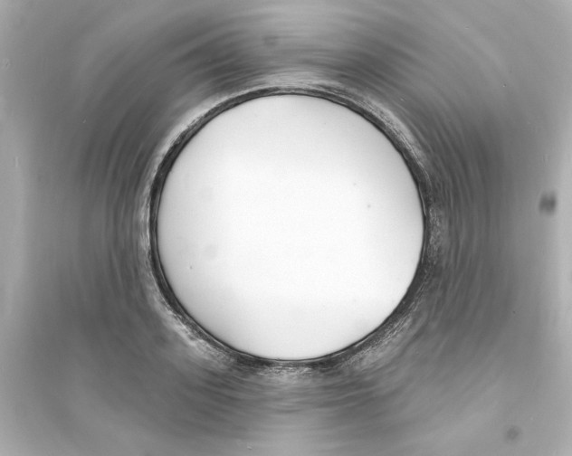 X0000093600939200711121145