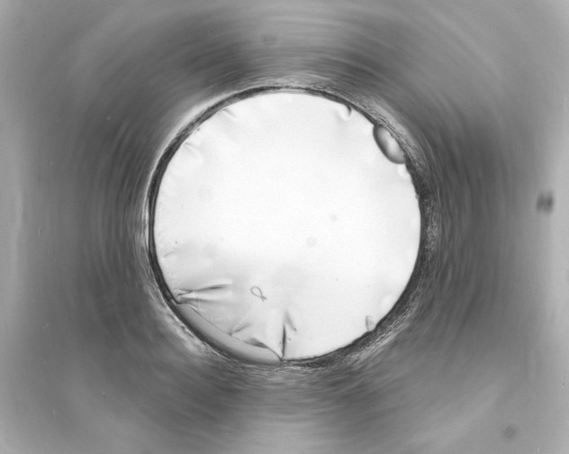 X0000093600940200711121145