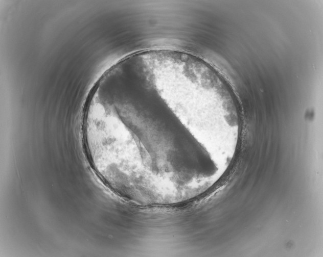 X0000093600941200711121145