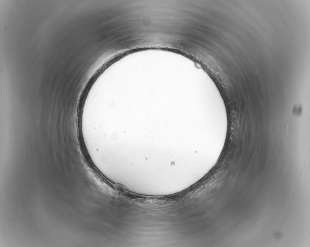 X0000093600942200711121145