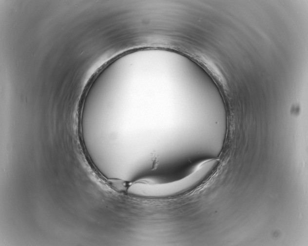 X0000093600944200711121145