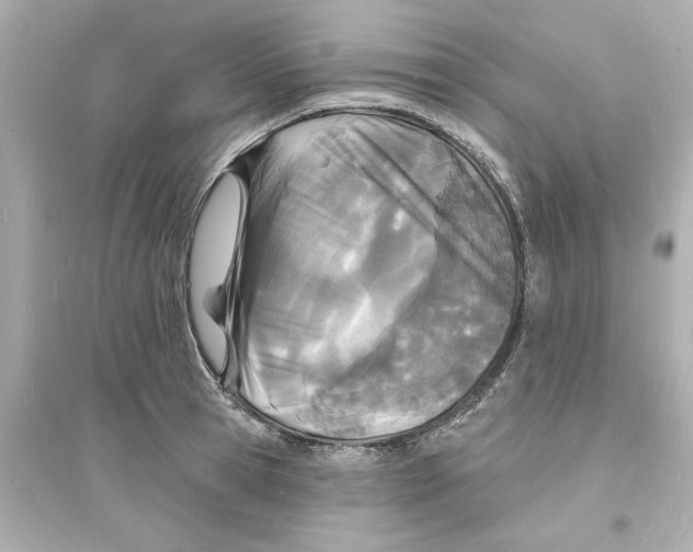 X0000093600945200711121145