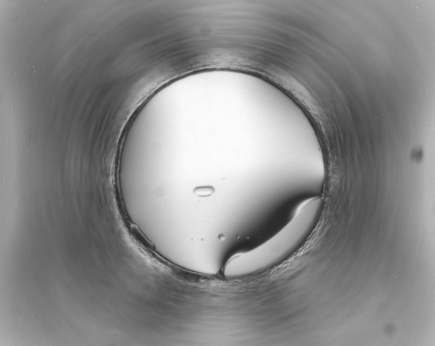 X0000093600946200711121145