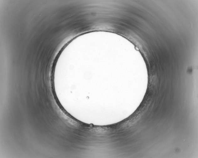 X0000093600947200711121145