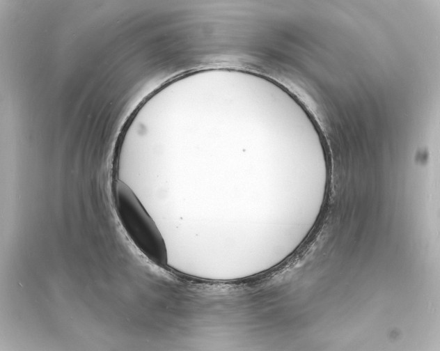 X0000093600949200711121145