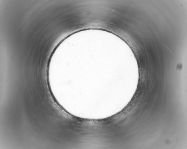 X0000093600950200711121145