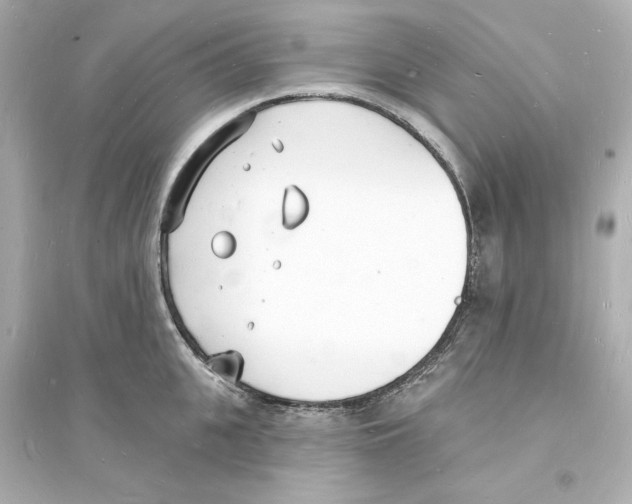 X0000093600951200711121145