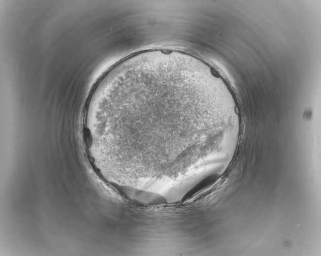 X0000093600952200711121145