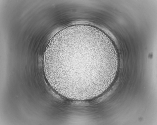 X0000093600953200711121145