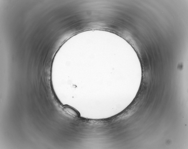 X0000093600954200711121145