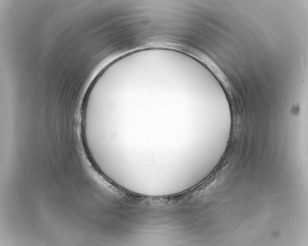 X0000093600955200711121145