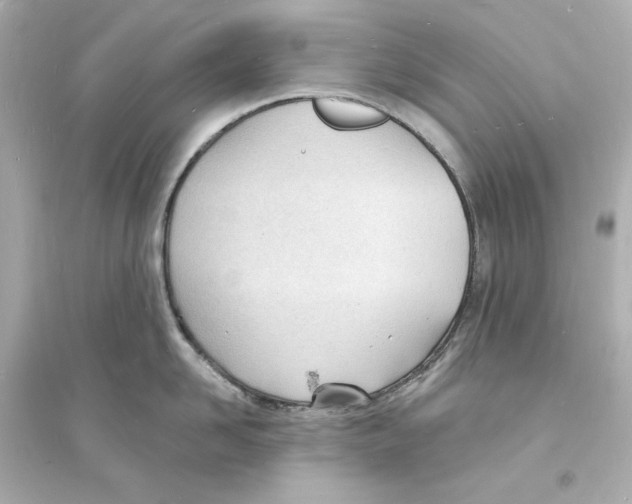 X0000093600958200711121145