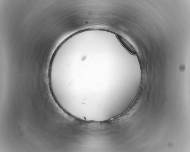 X0000093600959200711121145