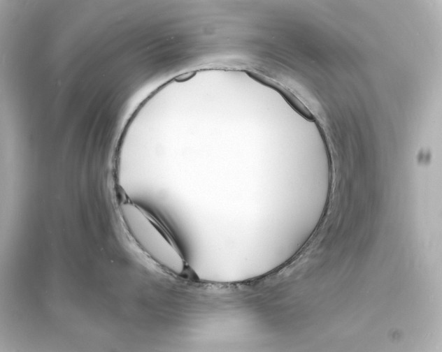 X0000093600960200711121145