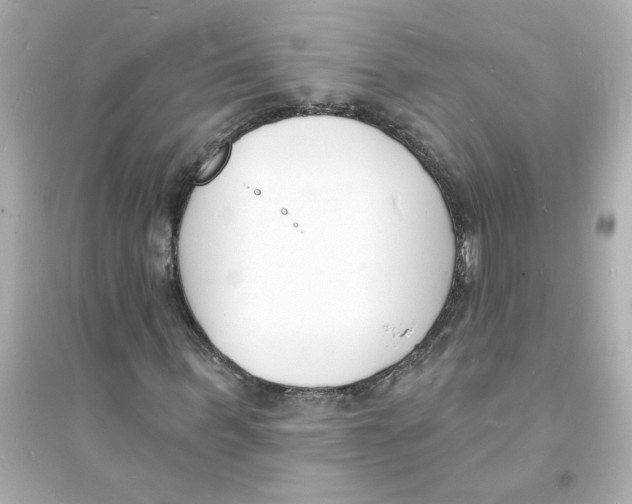 X0000093600963200711121145