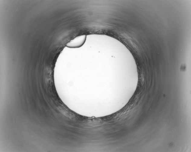 X0000093600964200711121145