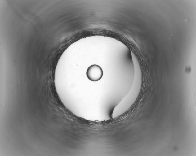 X0000093600965200711121145