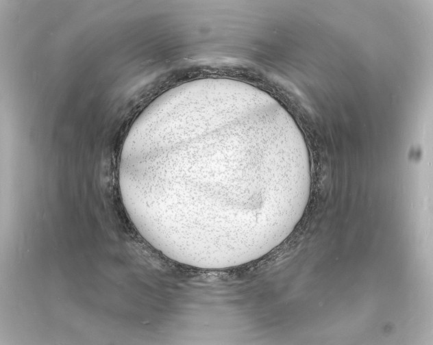 X0000093600966200711121145