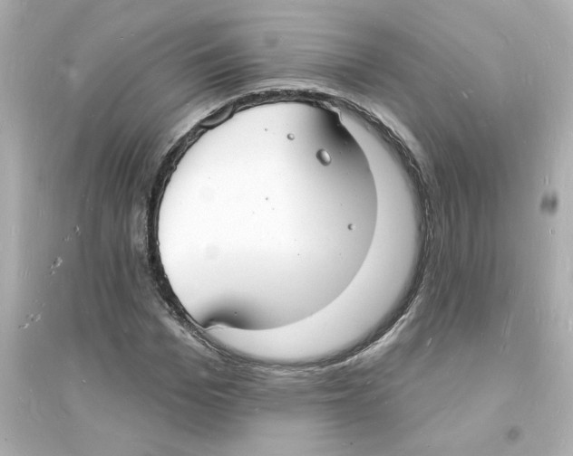 X0000093600969200711121145