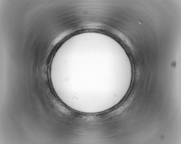 X0000093600970200711121145