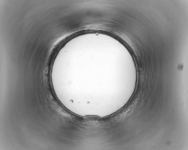 X0000093600971200711121145