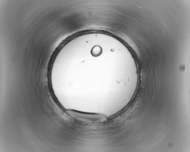 X0000093600972200711121145